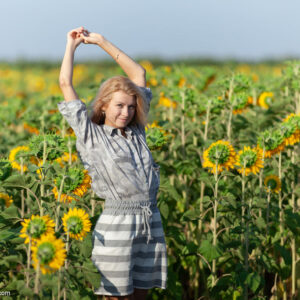 Blonde girl Claire Shelty gets naked in a field of sunflowers